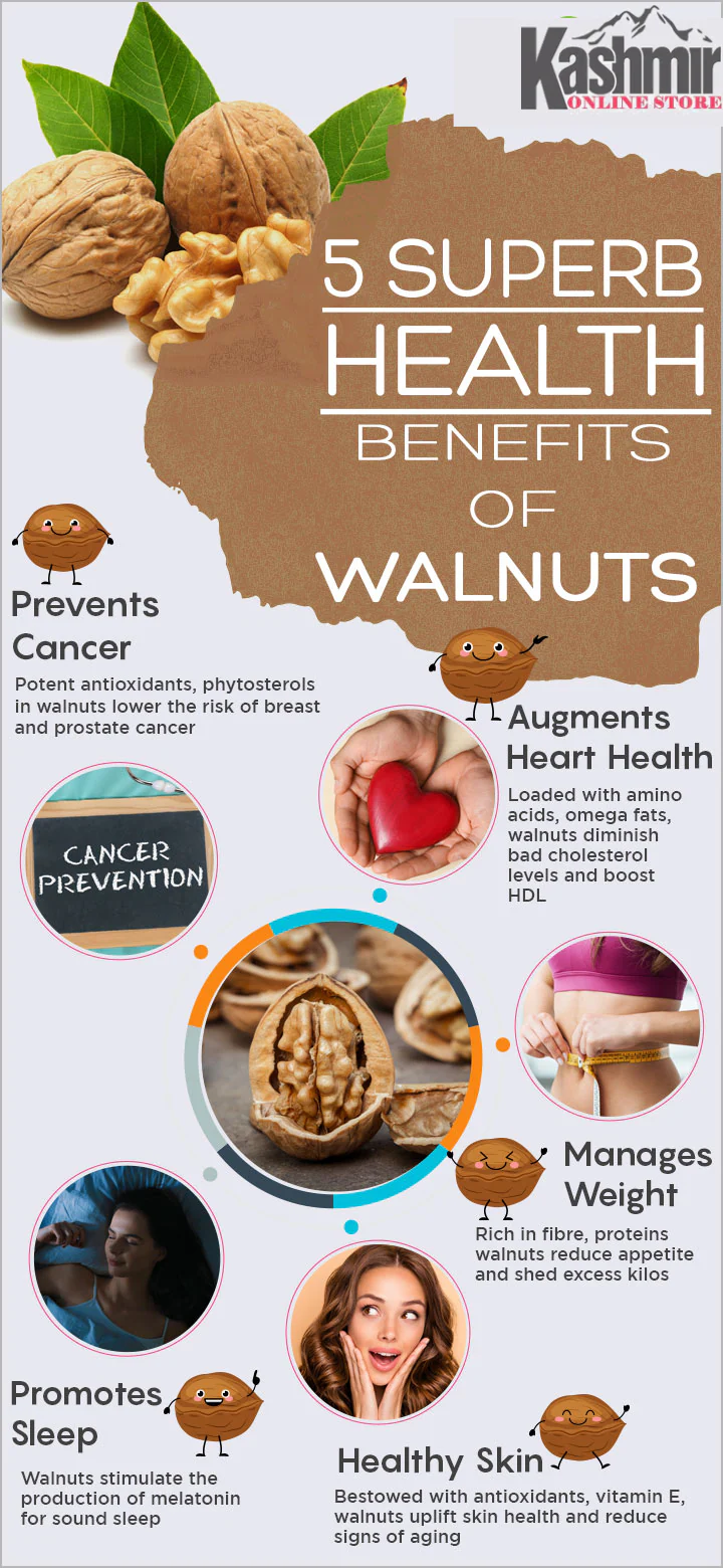 Buy Kashmiri Walnuts Without Shell |Premium Quality Walnuts - Image 9
